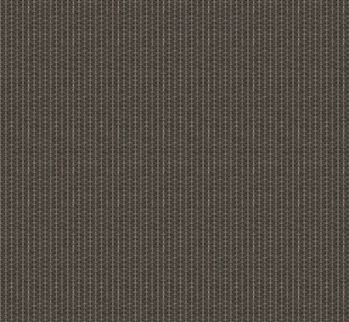 Kuba wallpaper by Coordonné in Black, flat swatch
