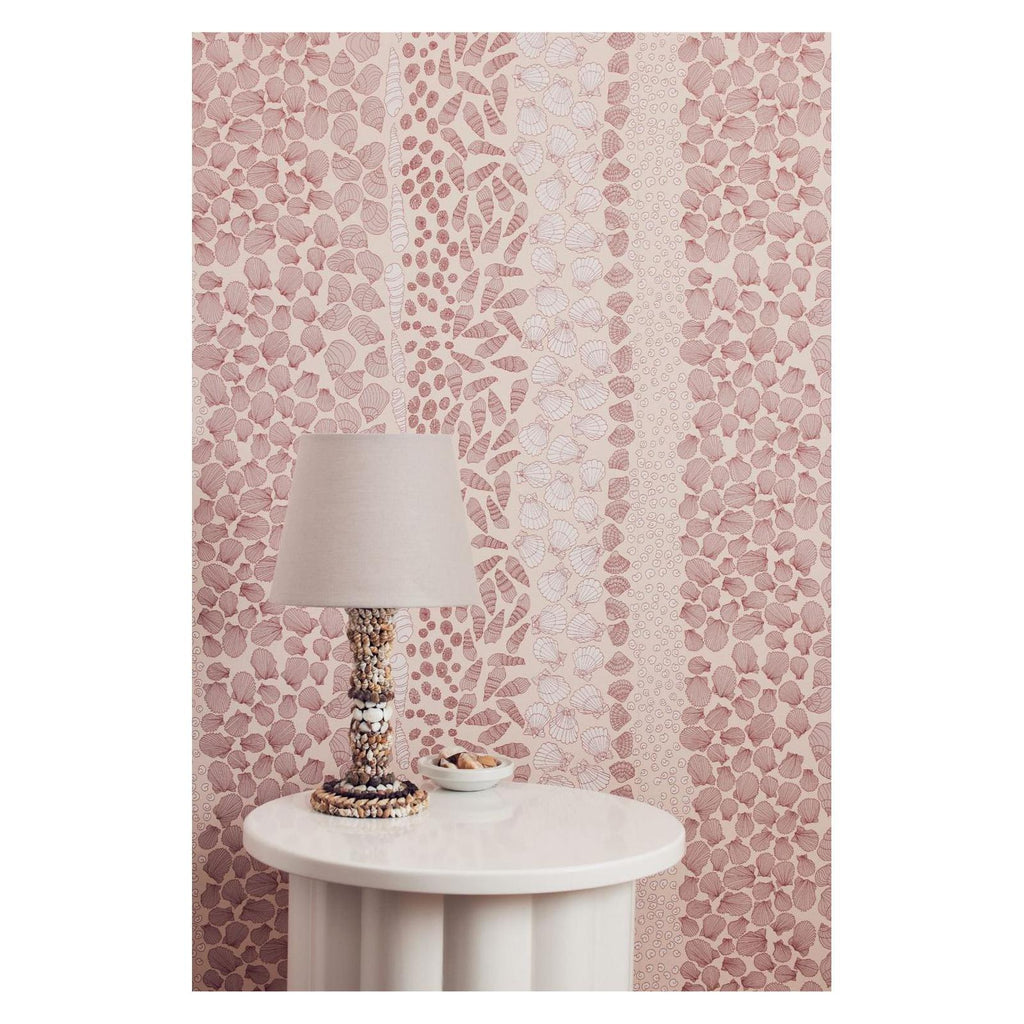 Seashells - Wallpaper Trader