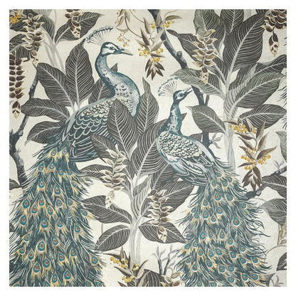 Royal Peacock