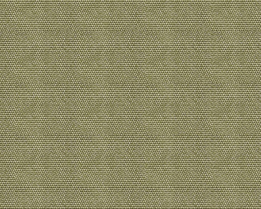 Yuca wallpaper by Coordonné in Green, flat swatch