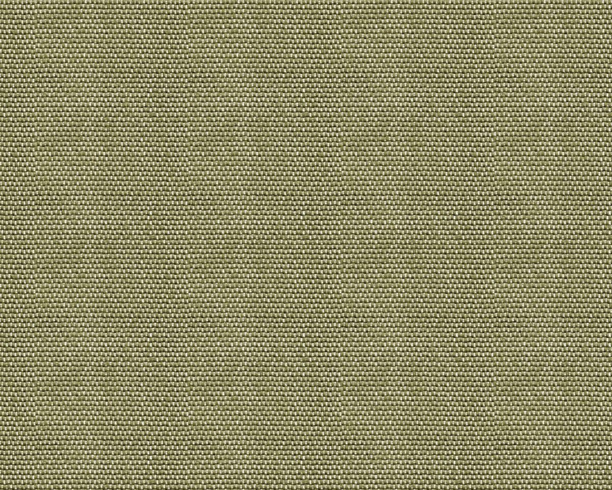 Yuca wallpaper by Coordonné in Green, flat swatch