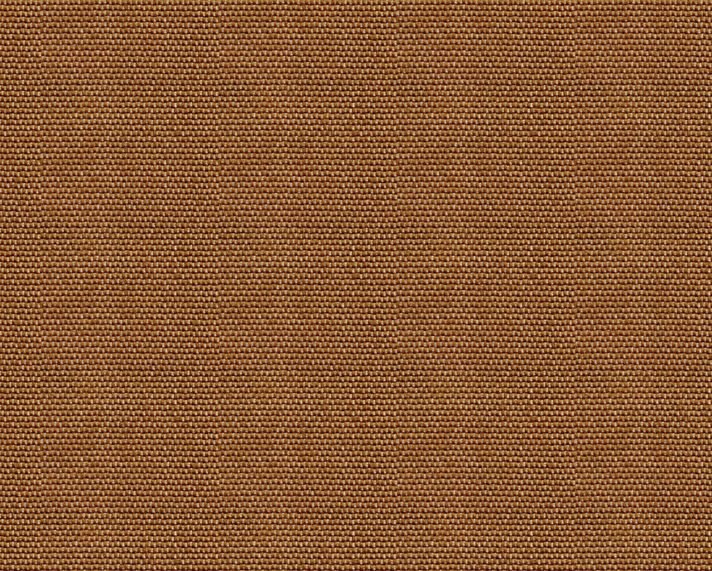 Yuca wallpaper by Coordonné in Copper, flat swatch
