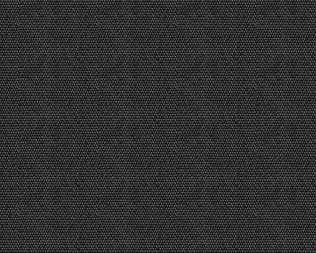 Yuca wallpaper by Coordonné in Black, flat swatch