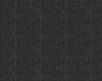 Yuca wallpaper by Coordonné in Black, flat swatch