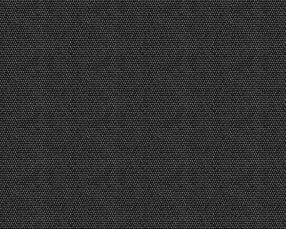Yuca wallpaper by Coordonné in Black, flat swatch