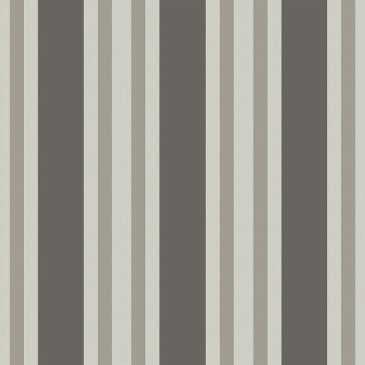 Polo Stripe - Black and White
