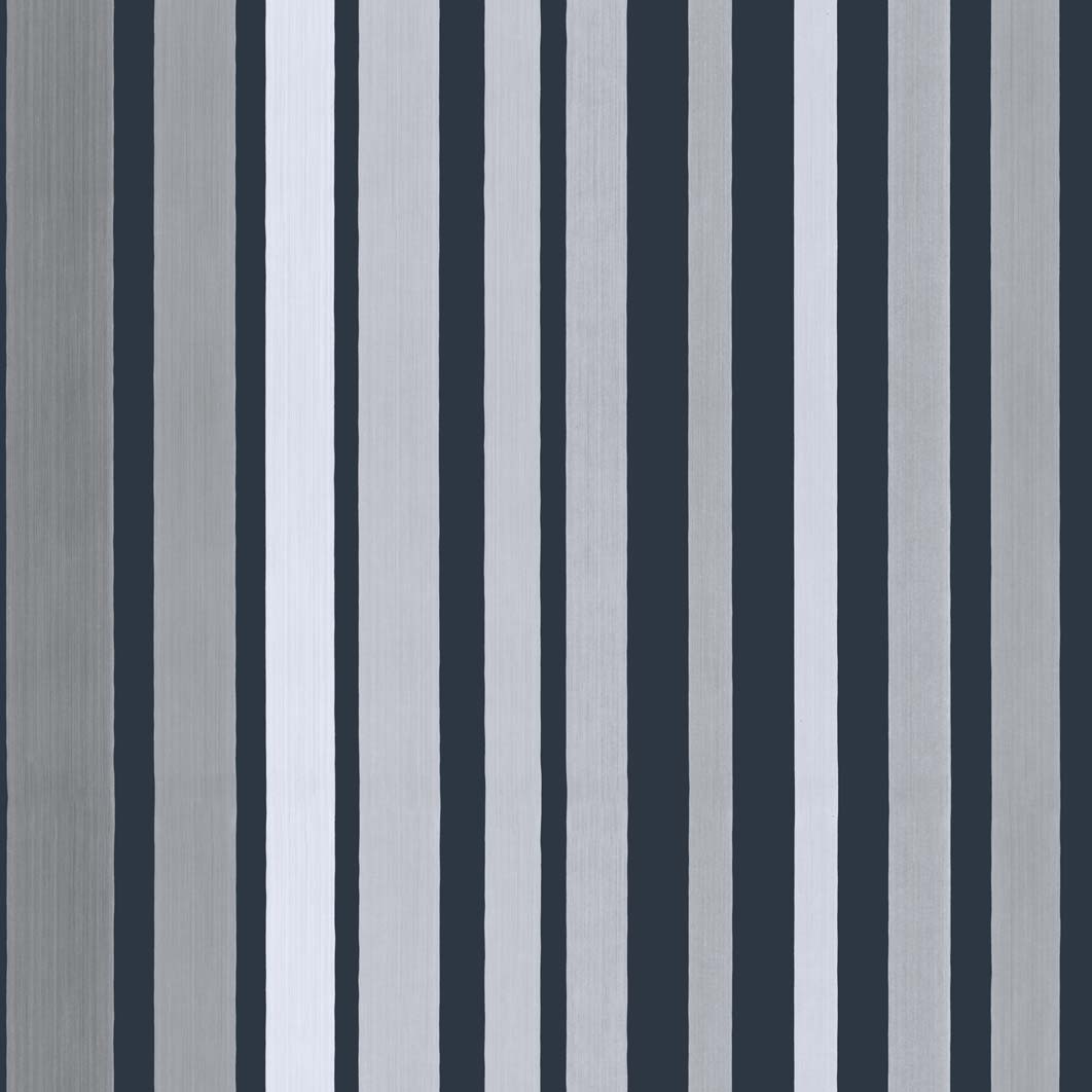 Carousel Stripe - Steel Grey