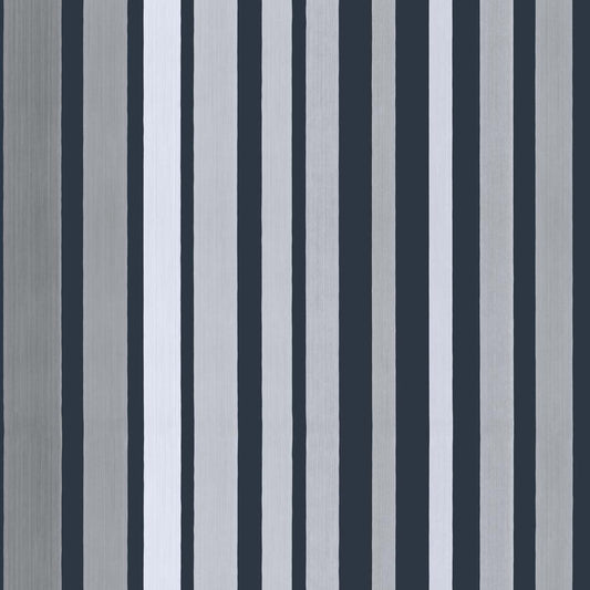 Carousel Stripe - Steel Grey