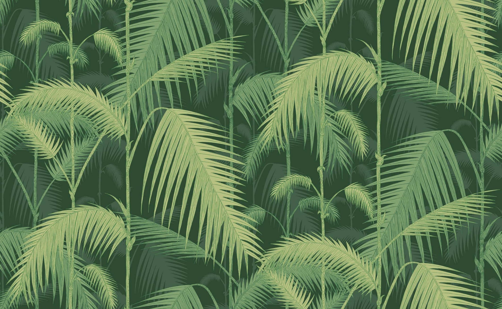 Palm Jungle - Forest Green - Wallpaper Trader