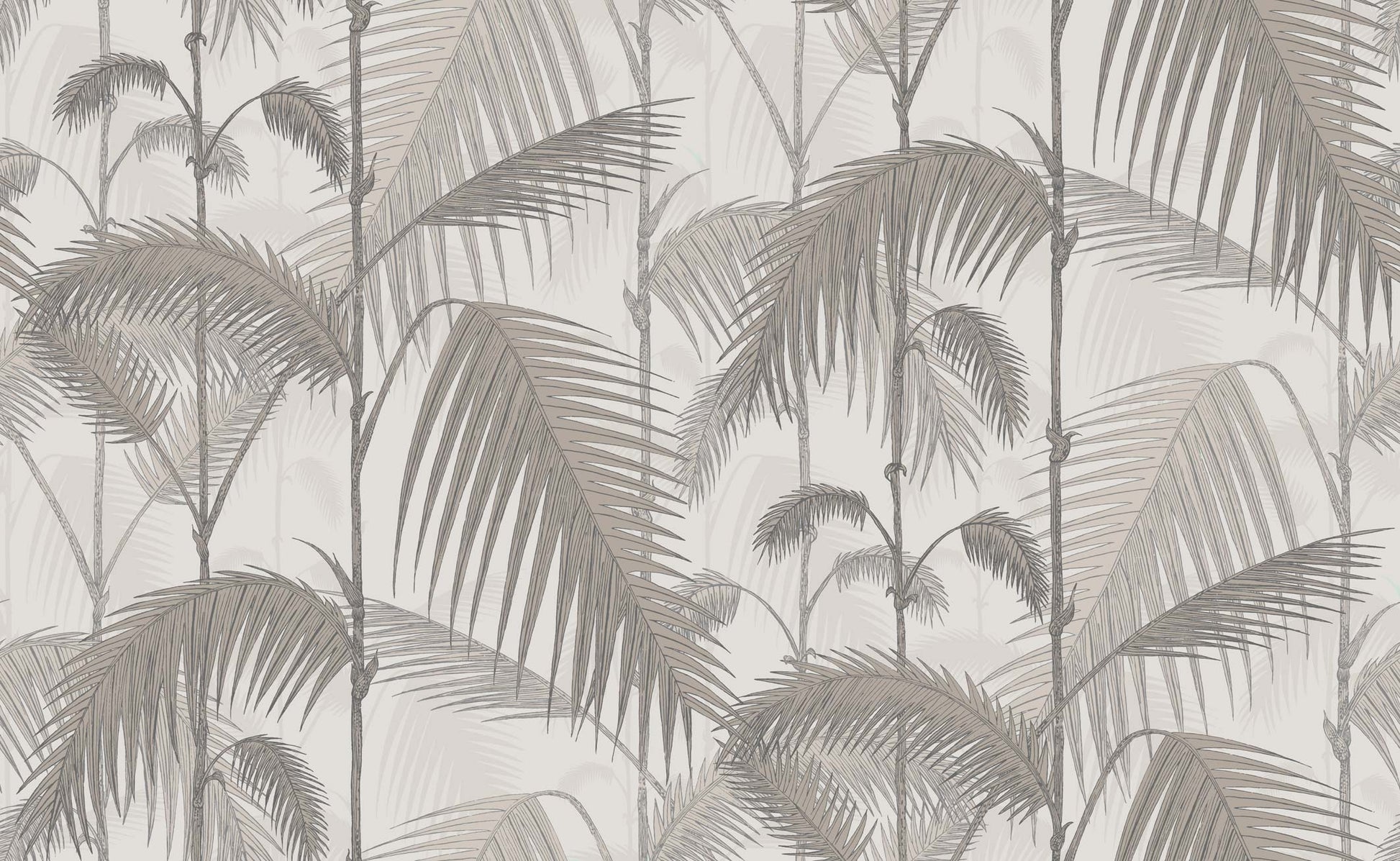 Palm Jungle - Stone & Taupe - Wallpaper Trader