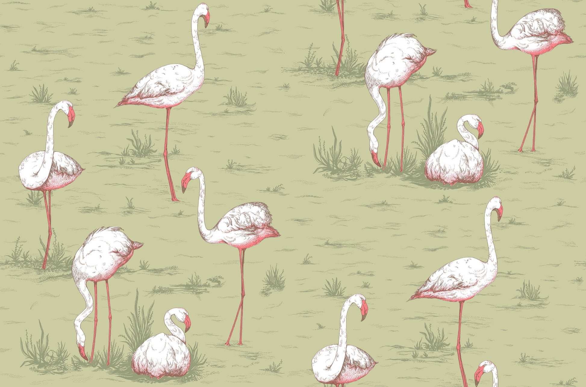 Flamingos - Olive - Wallpaper Trader