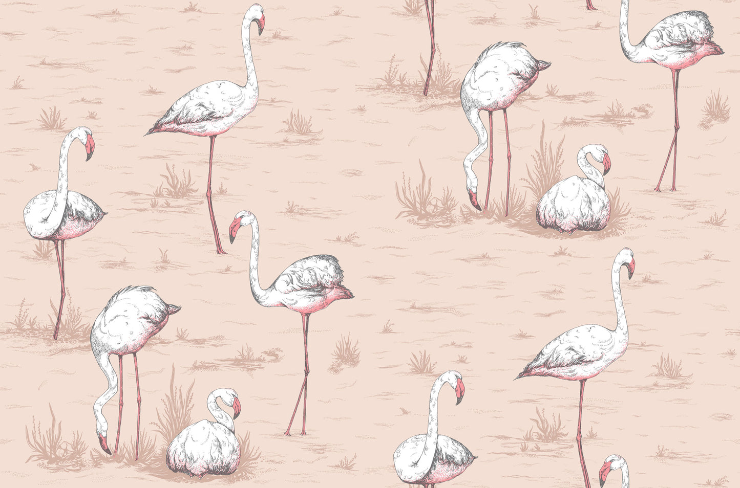 Flamingos - Ballet Slipper - Wallpaper Trader