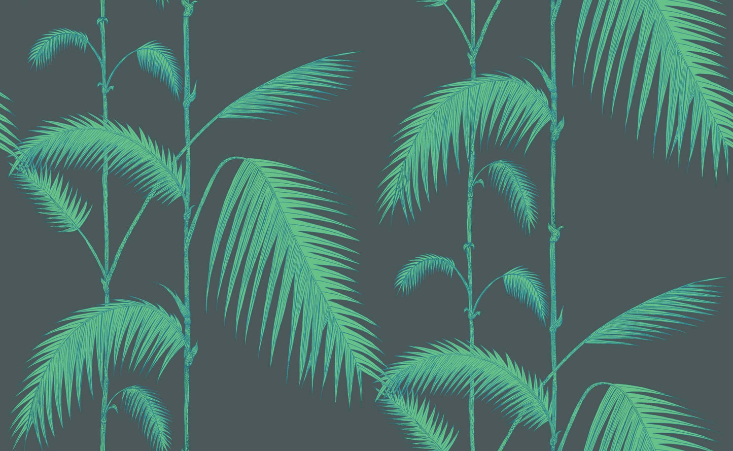 Palm Leaves - Viridian - Wallpaper Trader