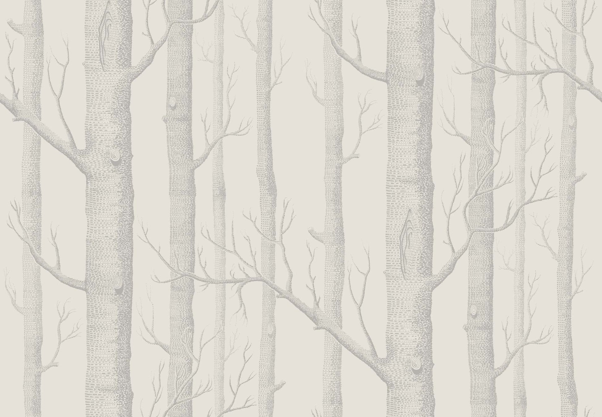 Woods - Parchment - Wallpaper Trader