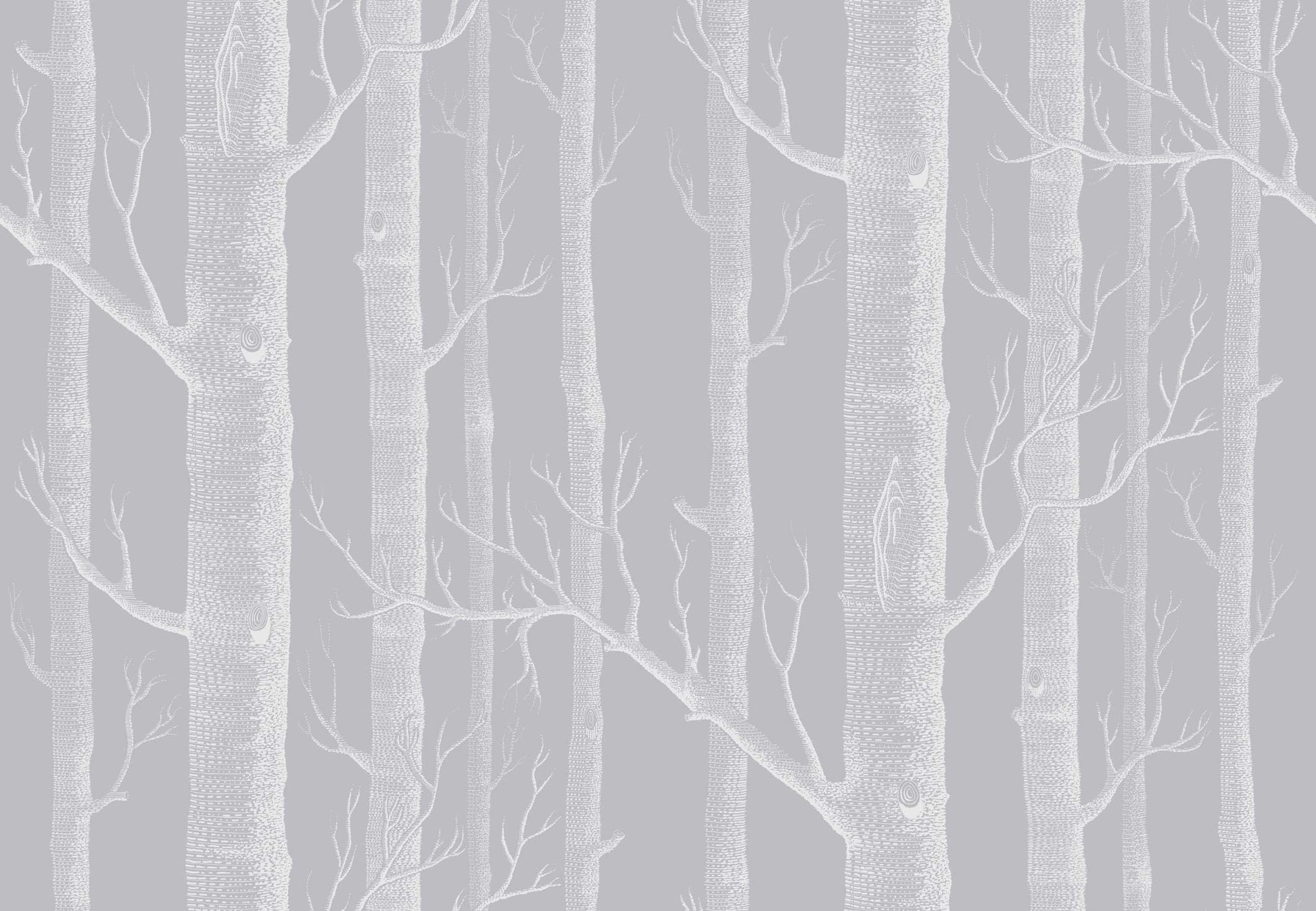 Woods - Grey and White - Wallpaper Trader