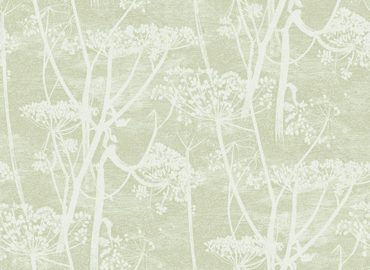 Cow Parsley - Olive - Wallpaper Trader