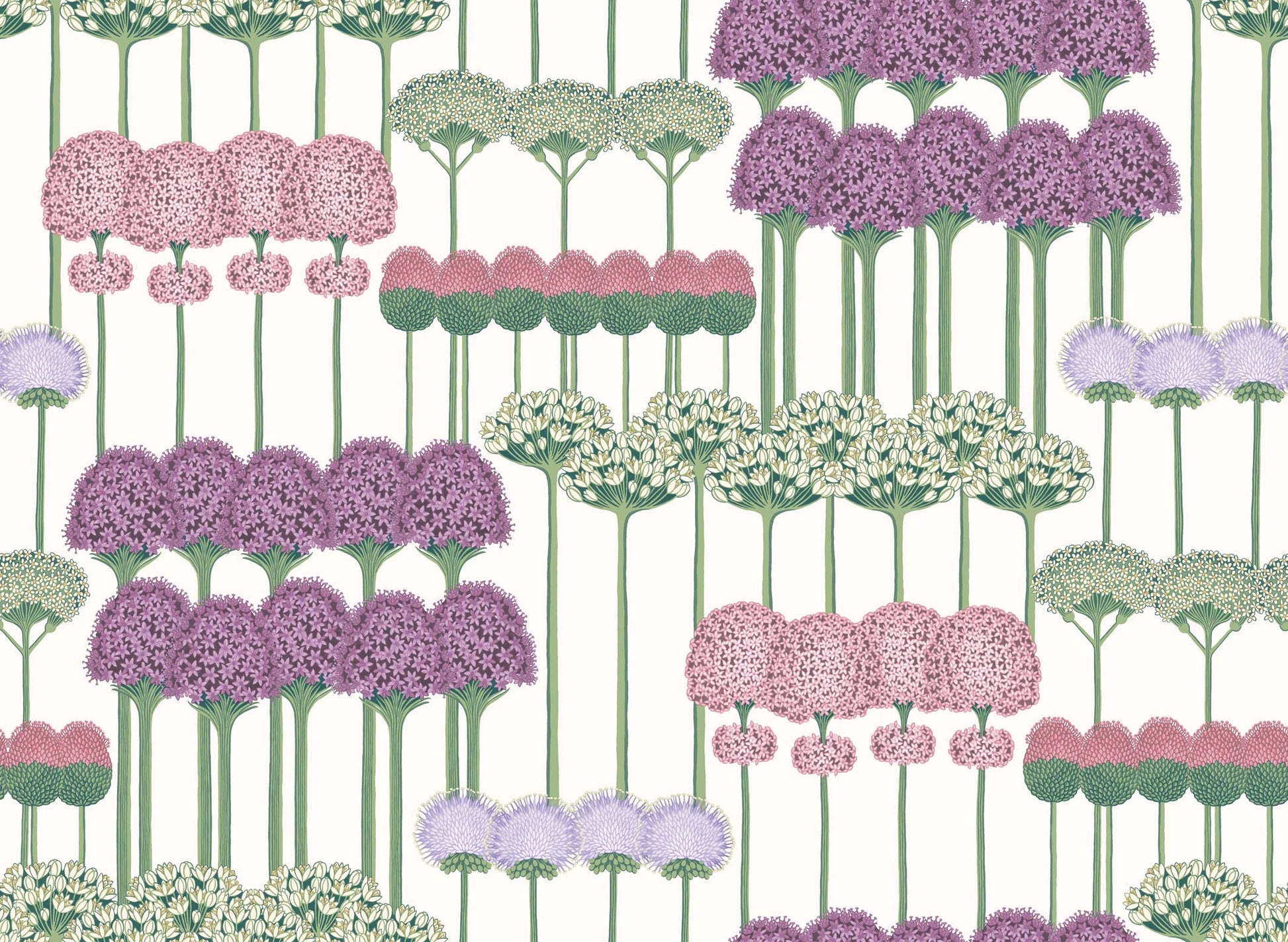 Allium - Blush & Lilac on White - Wallpaper Trader