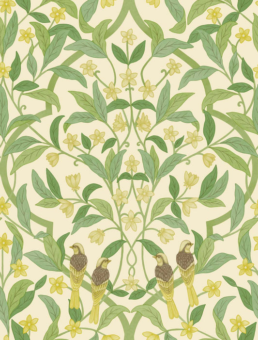 Jasmine & Serin Symphony - Chartreuse & Olive Green on White - Wallpaper Trader