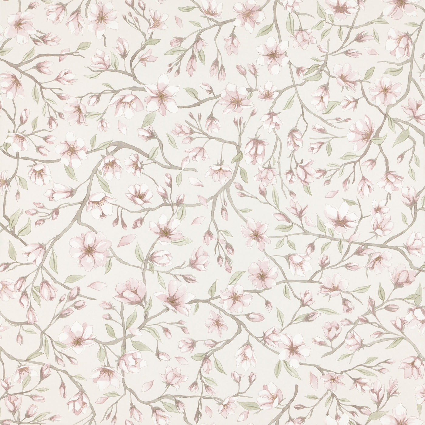 Sakura - Pink - Wallpaper Trader