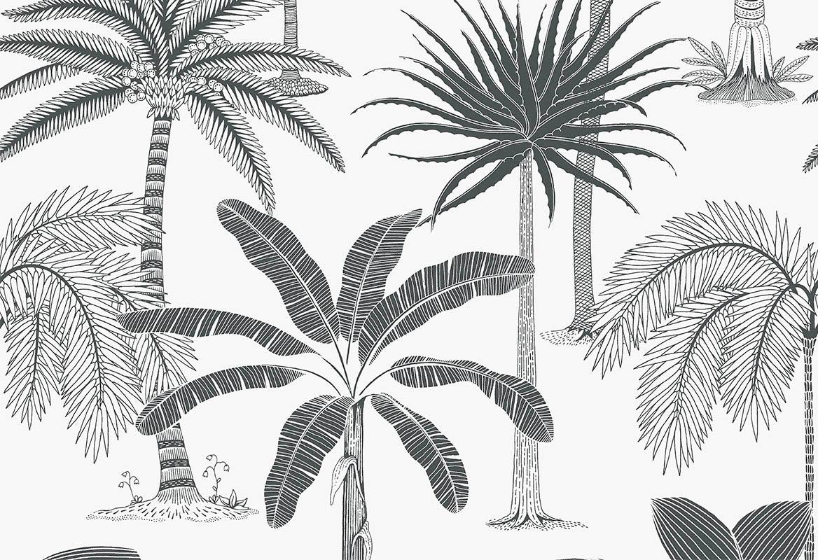 Royal Palms - Black & White - Wallpaper Trader