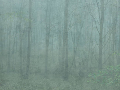 Skog - Green - Wallpaper Trader