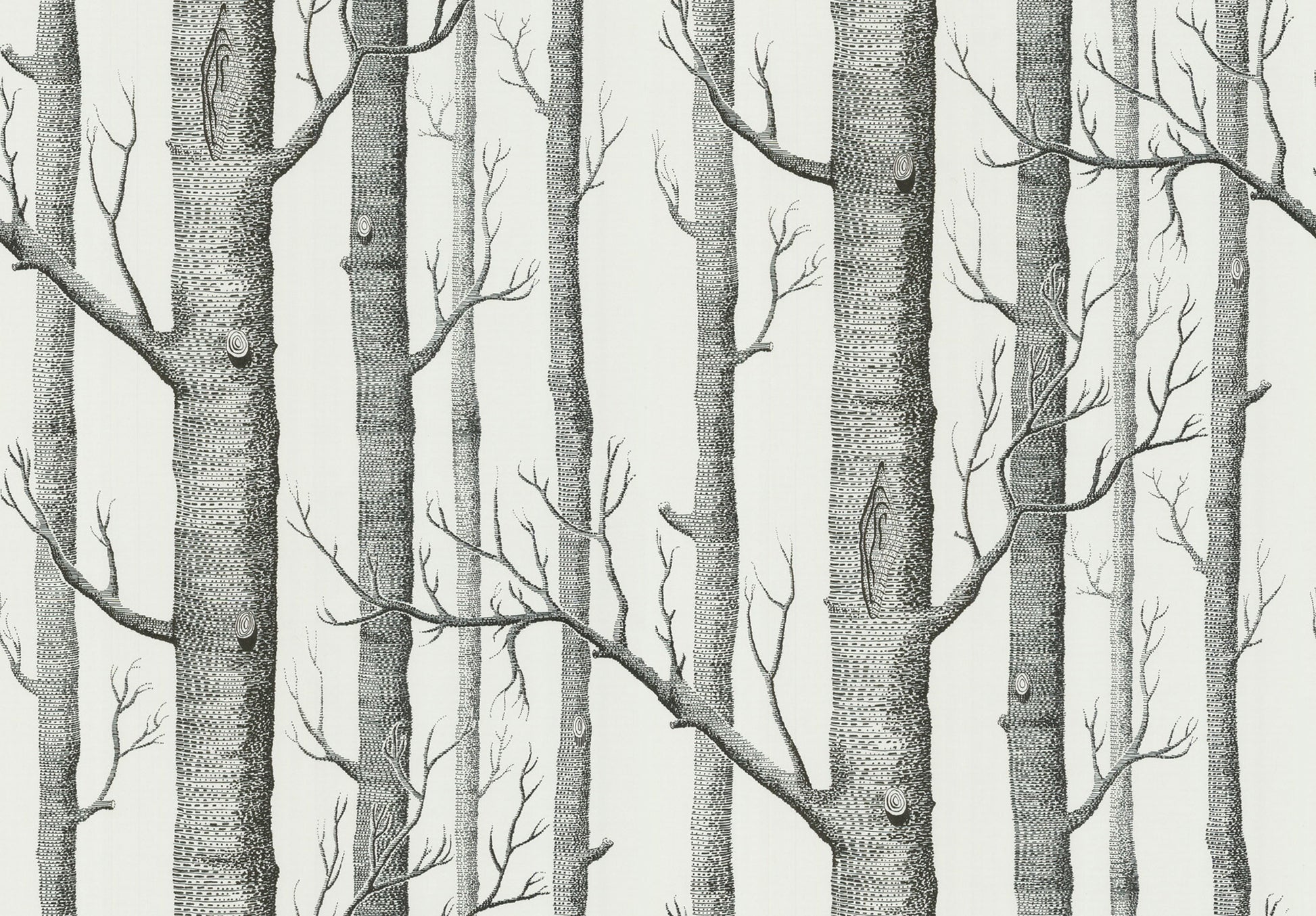 Woods - Black & White - Wallpaper Trader