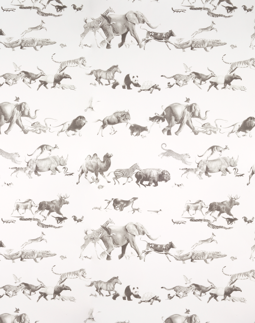 Animals - Pencil on Bone - Wallpaper Trader