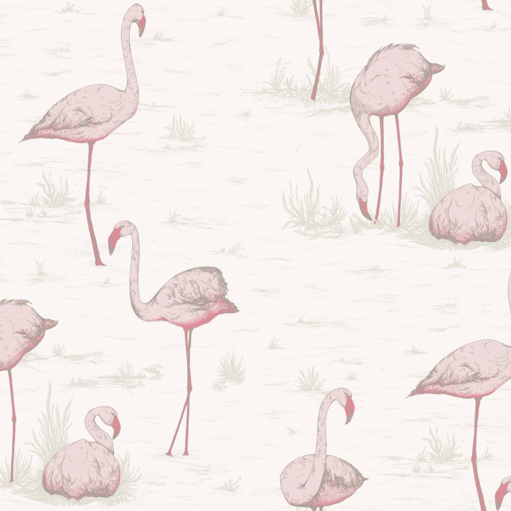 Flamingos - Pink On White - Wallpaper Trader