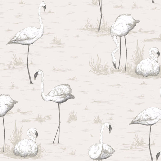 Flamingos - Charcoal On White - Wallpaper Trader