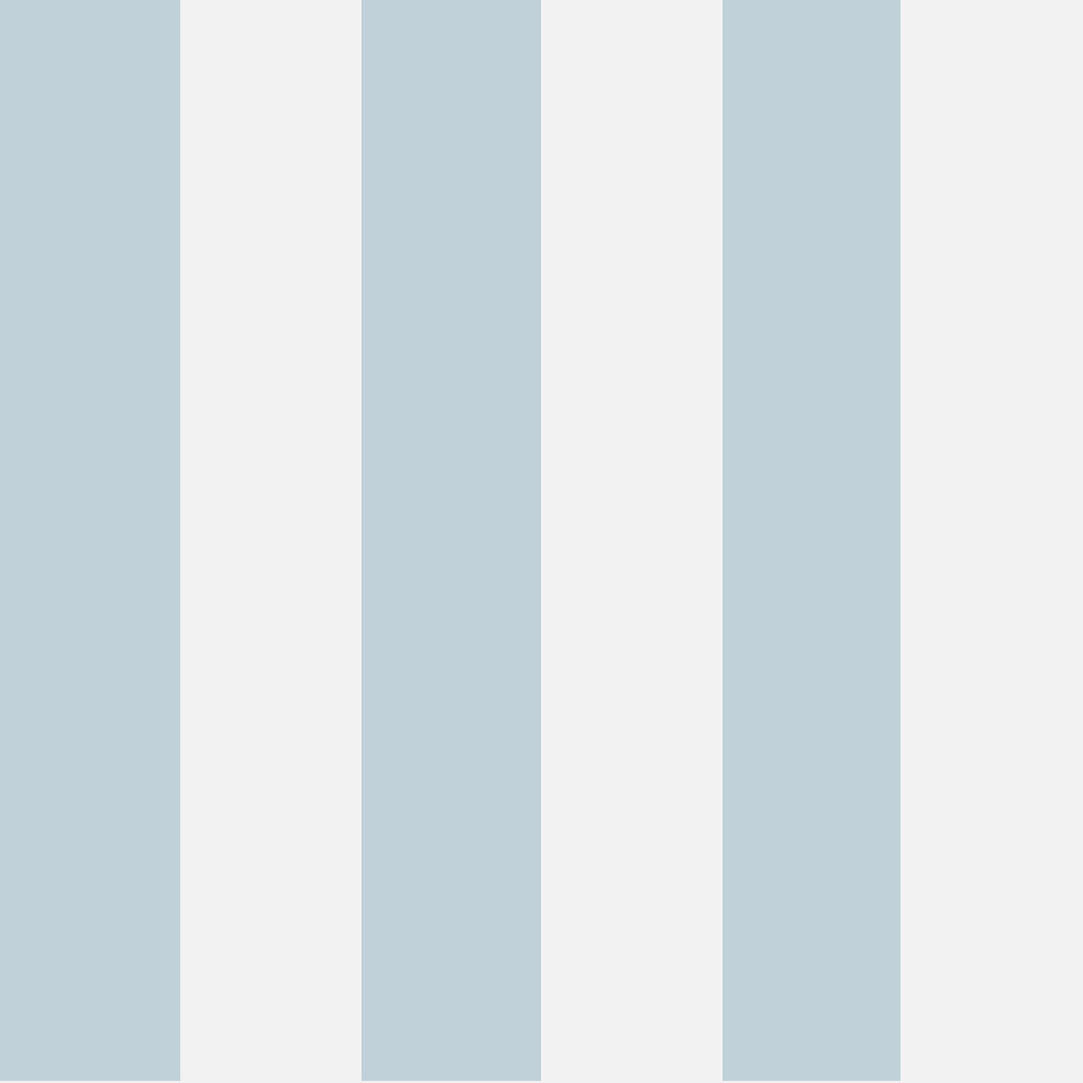 Glastonbury Stripe - Pale Blue