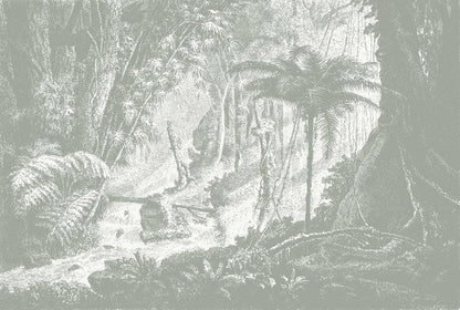 Amazonia Jungle Wall Mural - Grey - Wallpaper Trader