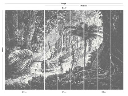 plants