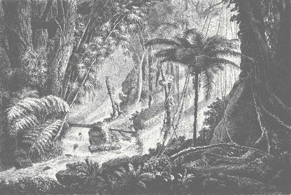 Amazonia Jungle Wall Mural - Monochrome - Wallpaper Trader