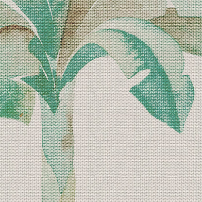 plants
