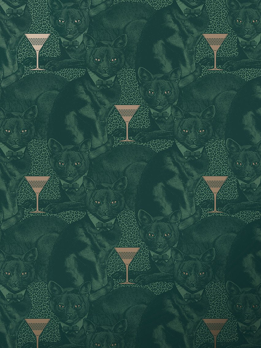 Cat-titude - Green Envy - Wallpaper Trader