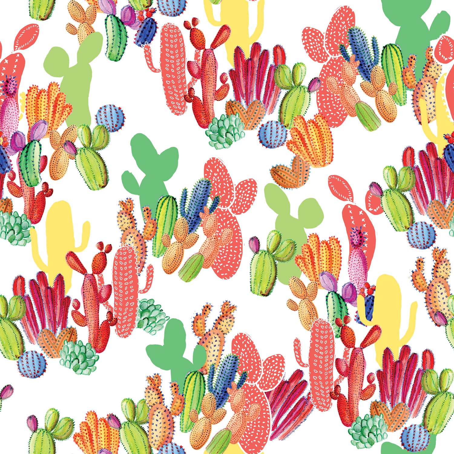 Cactus - Multicolour