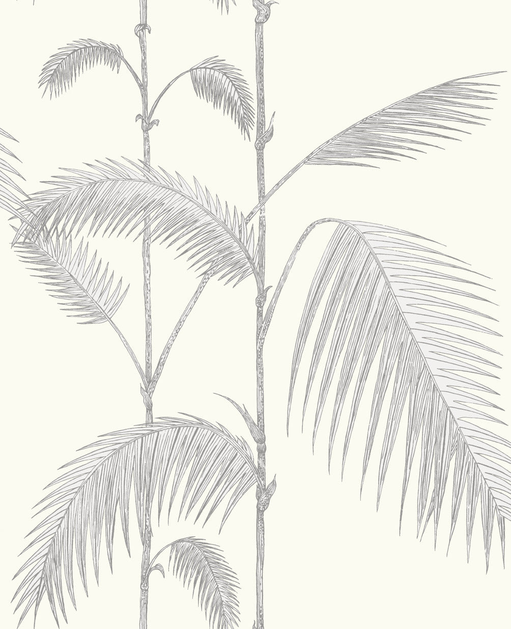 Palm Leaves - Soft Grey On White - Wallpaper Trader