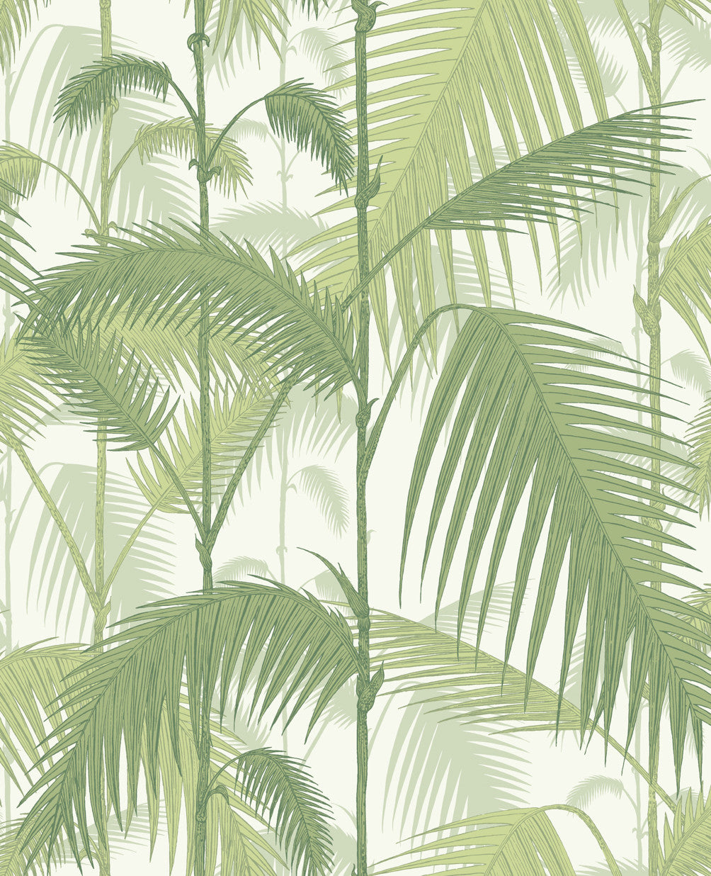 Palm Jungle - Olive Green On White - Wallpaper Trader