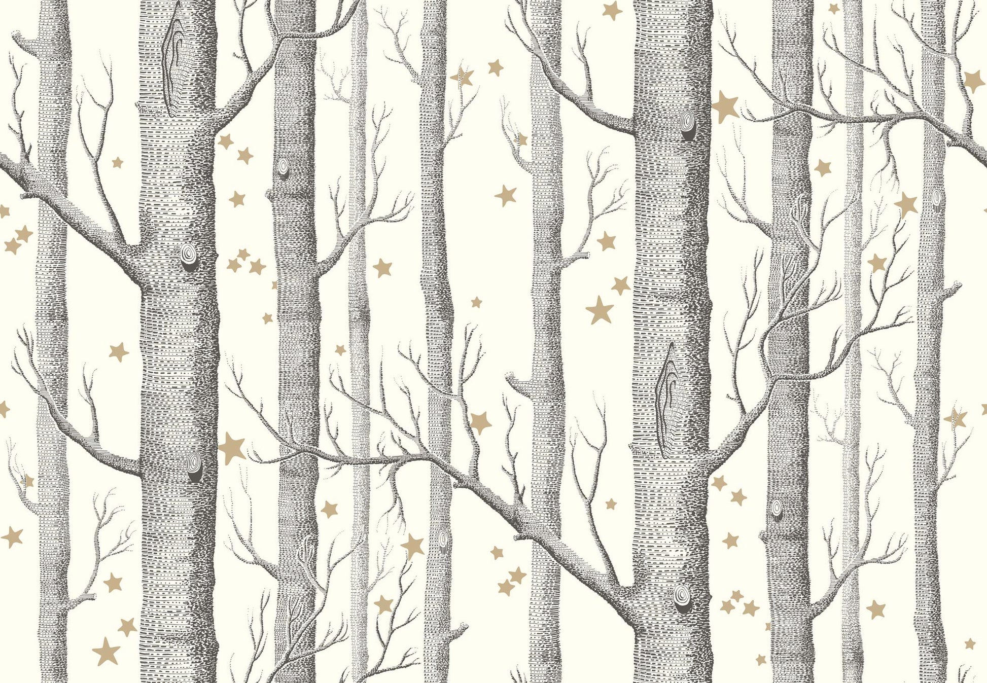 Woods & Stars - Black & White - Wallpaper Trader