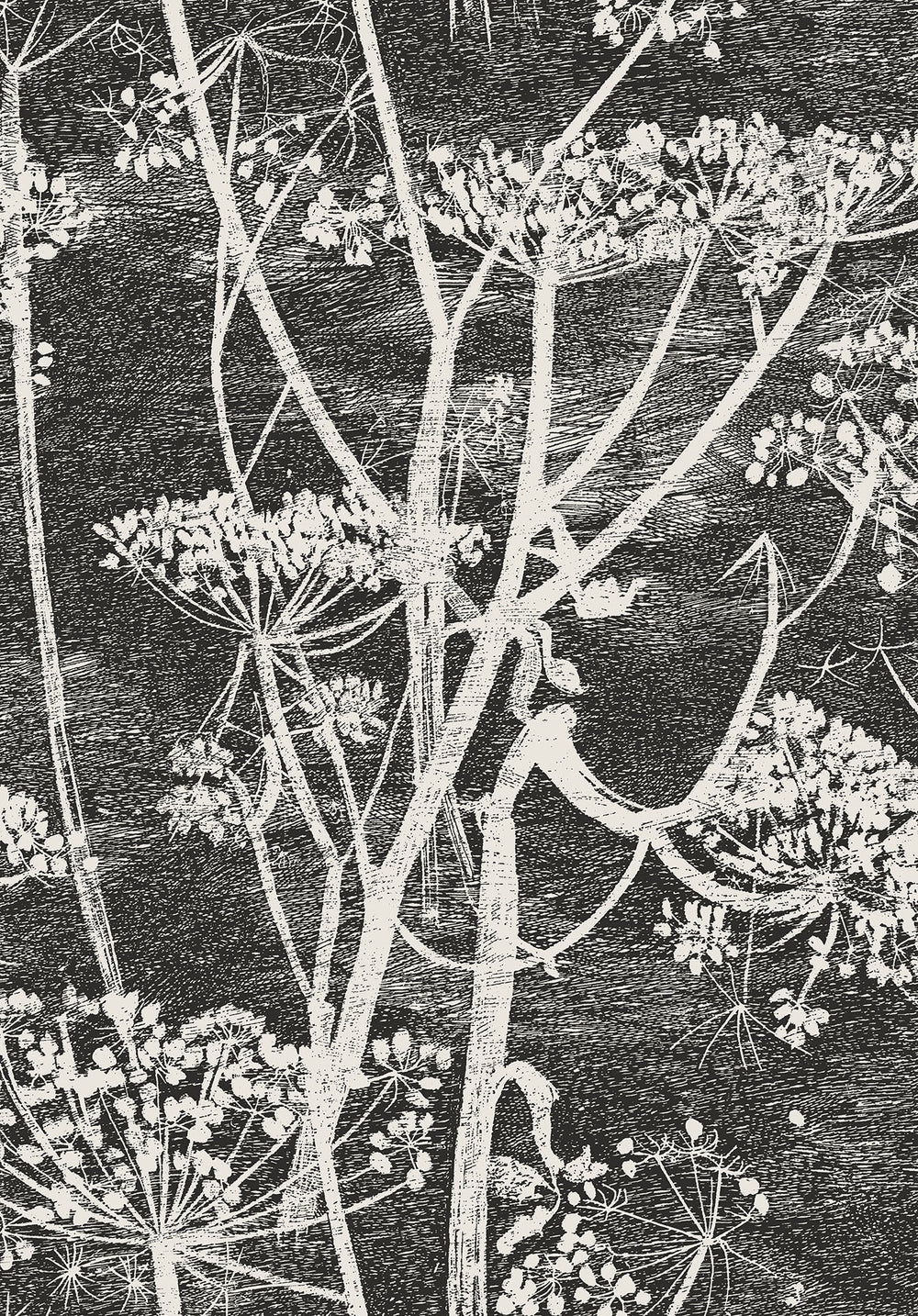 Cow Parsley - Charcoal - Wallpaper Trader