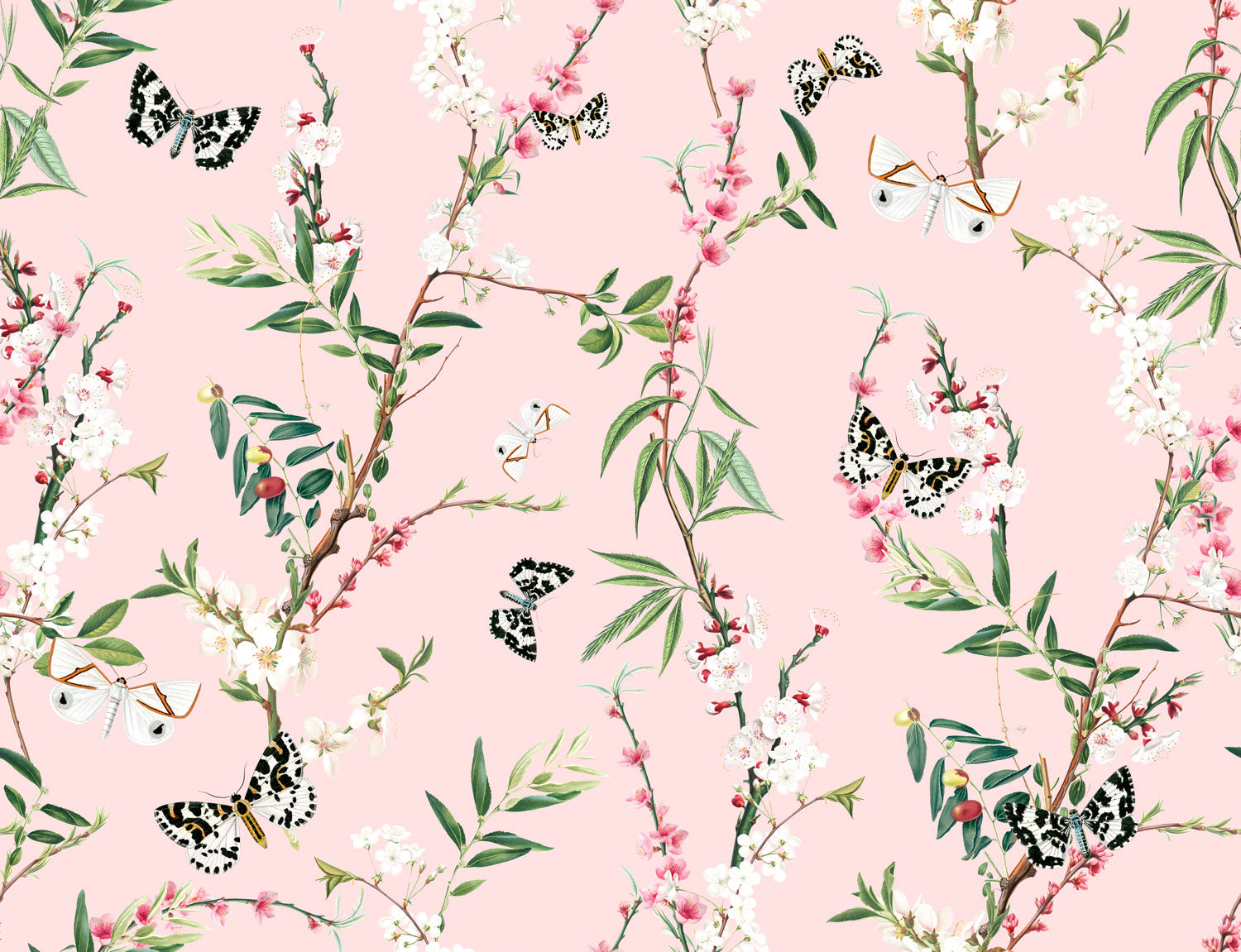 Enchanted Butterfly - Pink - Wallpaper Trader