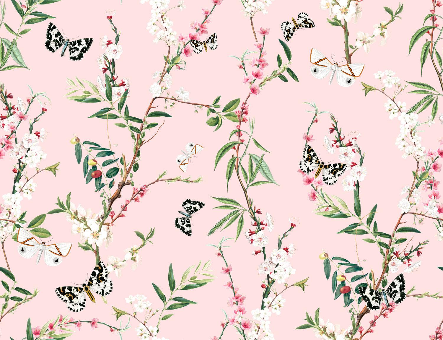 Enchanted Butterfly wallpaper - Pink
