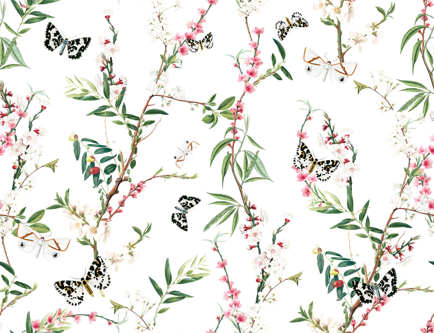Enchanted Butterfly - Ivory - Wallpaper Trader