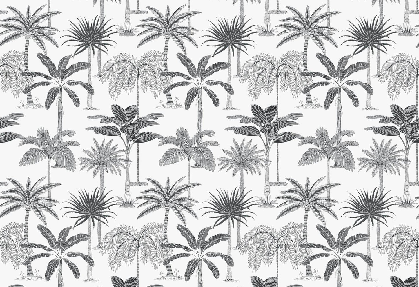 Royal Palms - Black & White - Wallpaper Trader