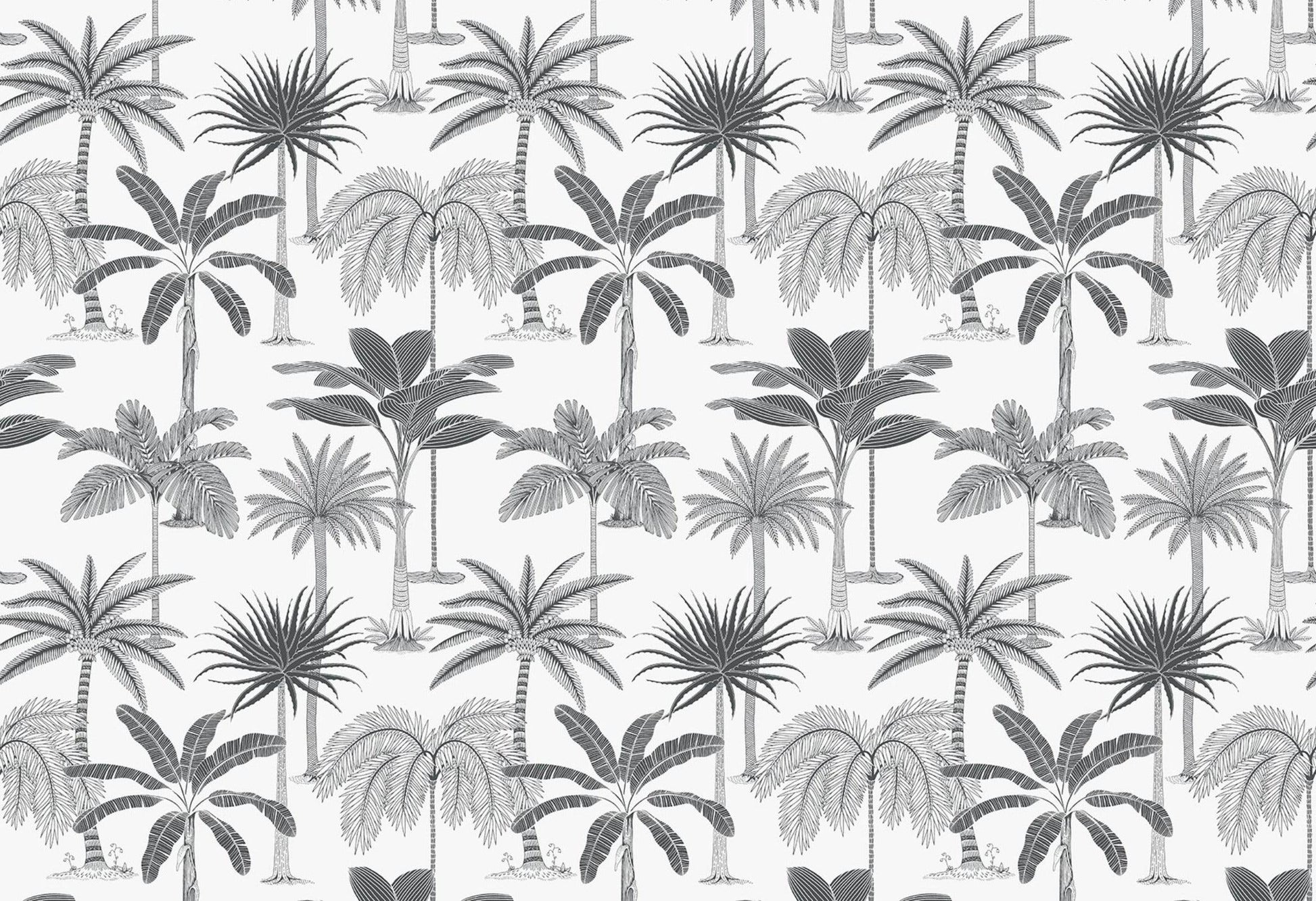 Royal Palms - Black & White - Wallpaper Trader