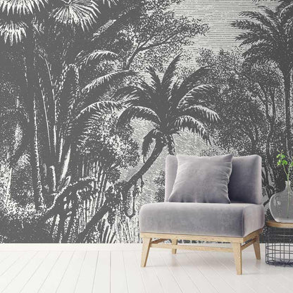jungle