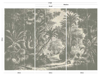 plants