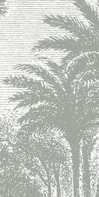 plants