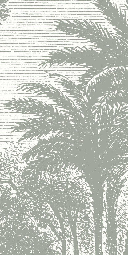 plants