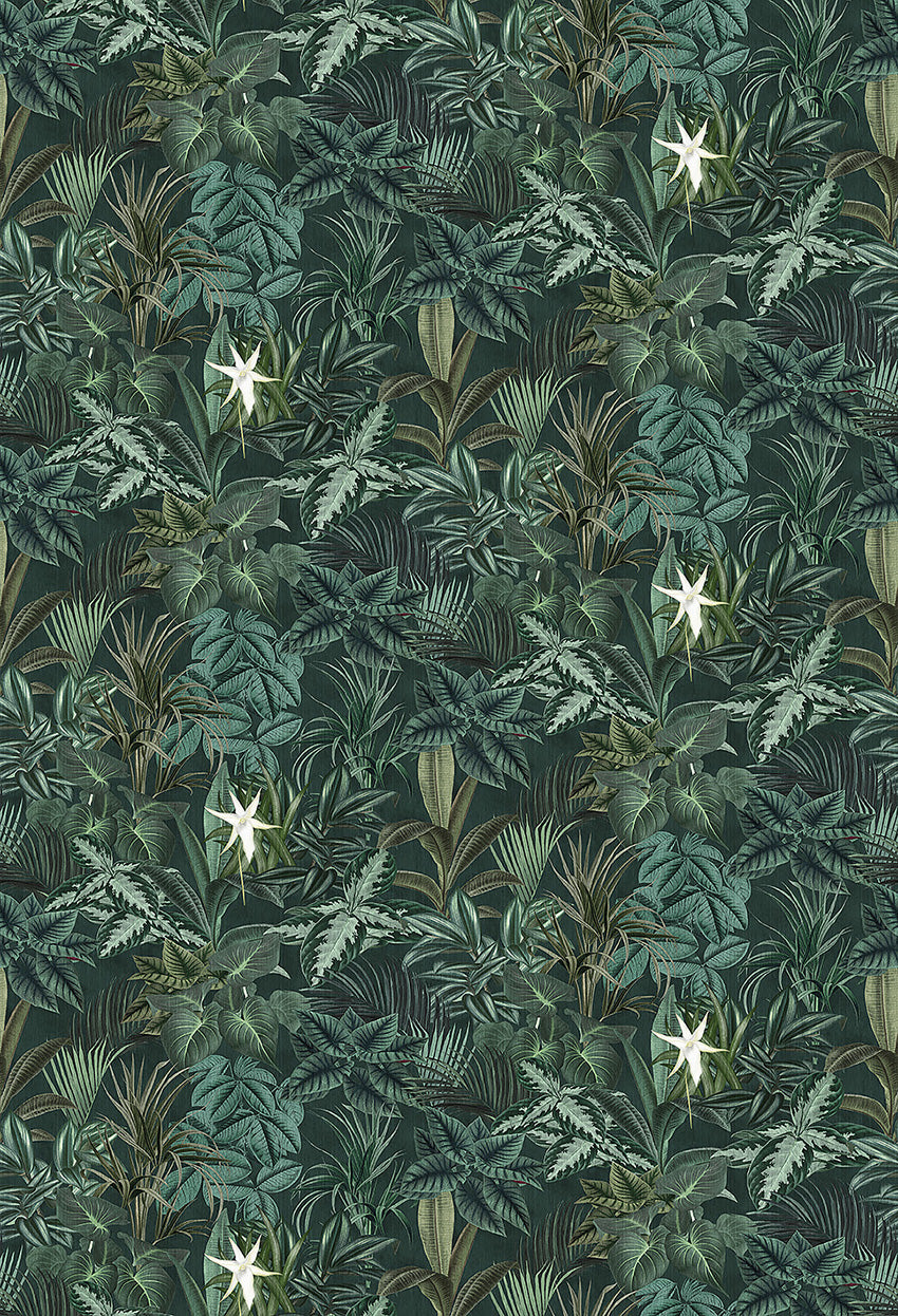 Madagascar Leaves - Jungle Leaves - Wallpaper Trader